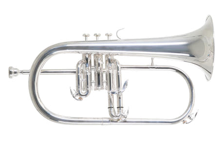 Roy Benson Bb-flygelhorn Roy Benson FH-302S - FH-302S