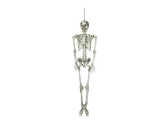 Halloween-skelet, hængende, hvidt, 150 cm