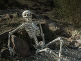 Halloween-skelet, hængende, hvidt, 150 cm