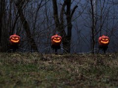 Halloween-græskar med jordspyd, 3 stk., 39 cm