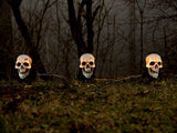 Halloween kraniehoveder med jordspyd, 3 stk., 29 cm
