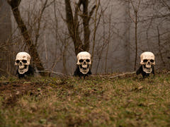 Halloween kraniehoveder med jordspyd, 3 stk., 29 cm