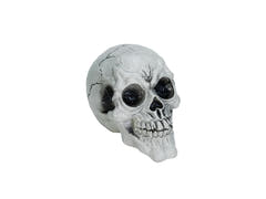 Halloween-kranier i sort og hvid, 3 stk.