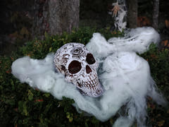 Halloween-kranie med mystiske tegn, 18 cm