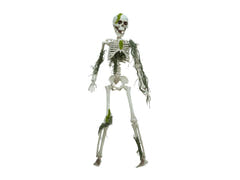 Halloween-skelet med mos, 40 cm
