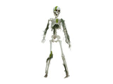 Halloween-skelet med mos, 40 cm