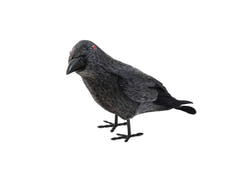 Halloween-ravn, 18 cm, sort