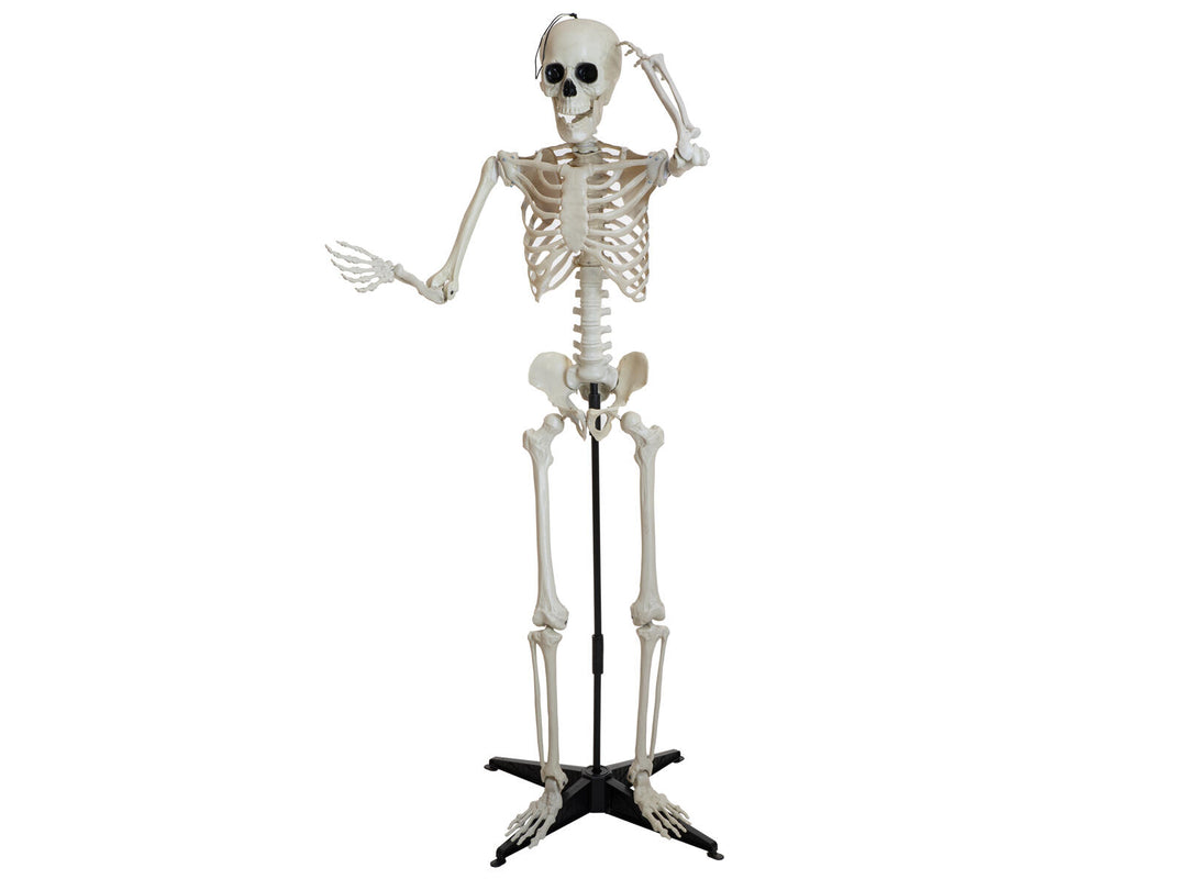 Halloween-skelet, stående, 150 cm