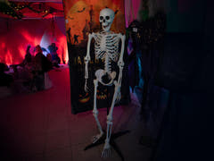 Halloween-skelet, stående, 150 cm