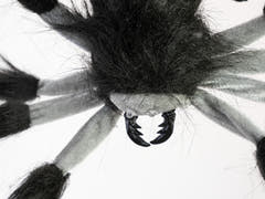 Halloween nedfirande spindel, animerad, 60 cm