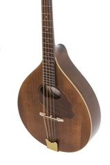 GEWA mandola Pro Arte - Antik