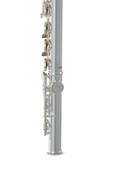 Roy Benson Flute Roy Benson FL-402E2 - FL-402E2