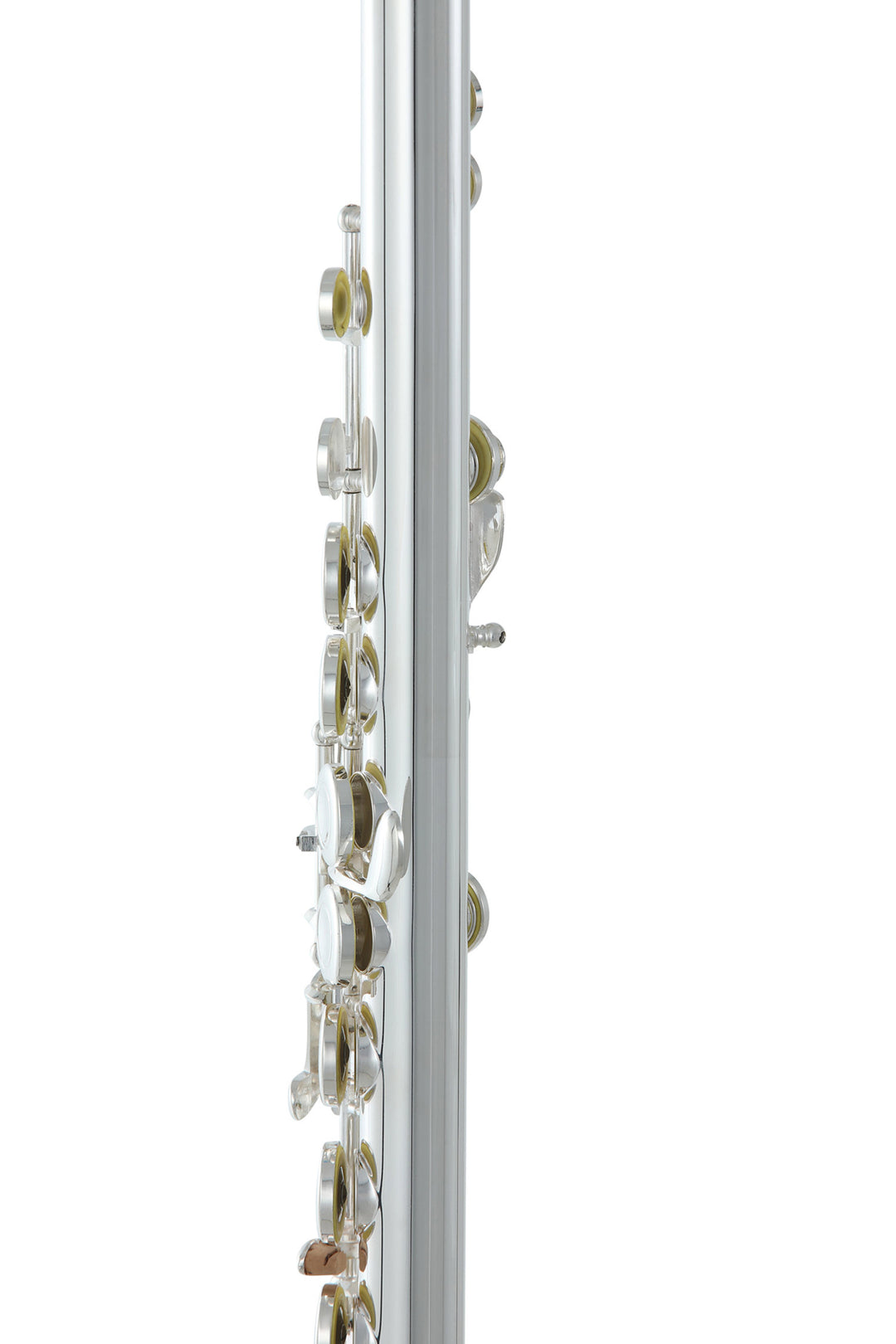 Roy Benson Flute Roy Benson FL-402E2 - FL-402E2