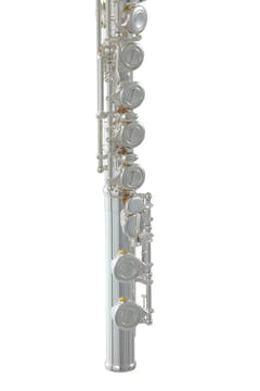 Roy Benson Flute Roy Benson FL-402E2 - FL-402E2