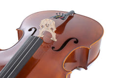 GEWA Allegro cello 1/16, justerad