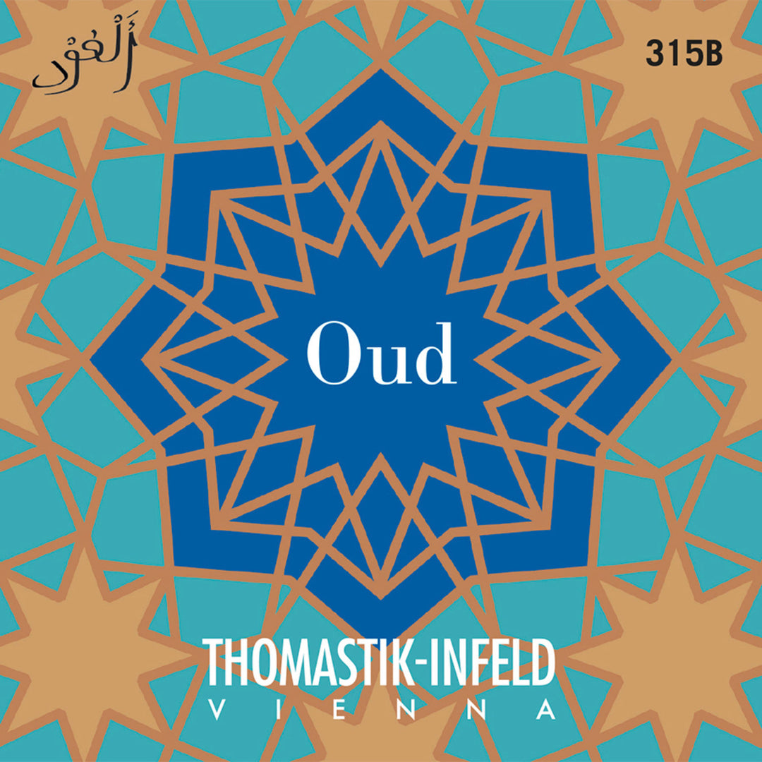 Thomastik-Infeld oud-strängar - Set 11 string Dw (315B)