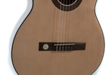 GEWA Klassisk gitarr Pro Arte GC 210 A - 4/4 storlek