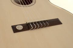GEWA klassisk gitarr Pro Natura Silver 1/2 storlek - 1/2 storlek