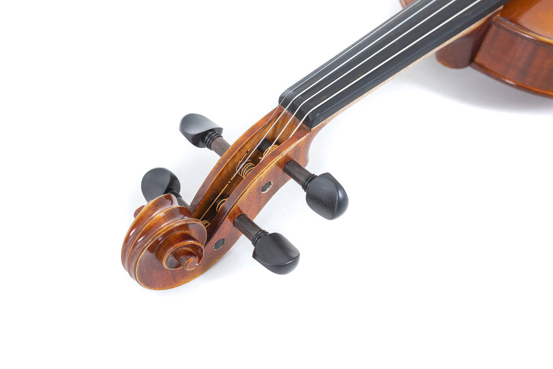 GEWA Fioler Maestro 1 - 1/2 (Spelklar inkl. Fioler-fodral, Massaranduba-stråke och Larsen Aurora-strängar)