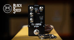 Black Sheep Black Sheep FX Looper