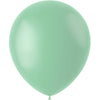Ballonger 50 st. (Matt pulverpistasch, 33 cm)