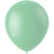 Ballonger 50 st. (Matt pulverpistasch, 33 cm)