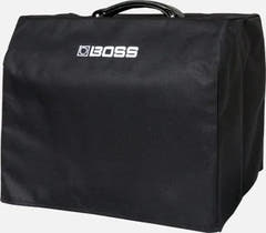 Boss Acoustic Singer Live Cover 