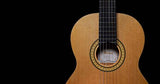 Pearl River CL20 Klassisk Gitarrer