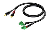 ProCab 2 x RCA han > 2 x terminal blok 3P 3,81mm, 3 m