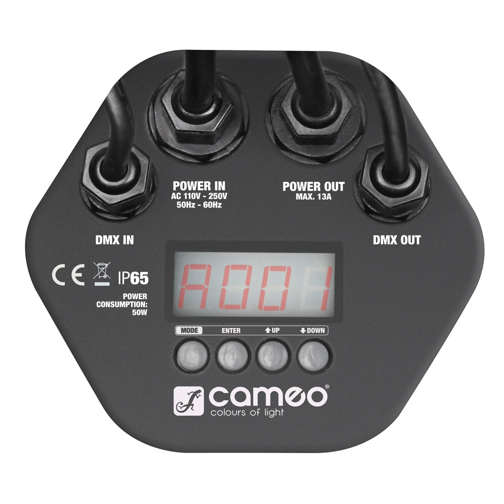 Cameo utomhus PAR-lampa RGB IP65 (12x3W)