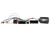 21CTSFO018.2 Interface för Ford