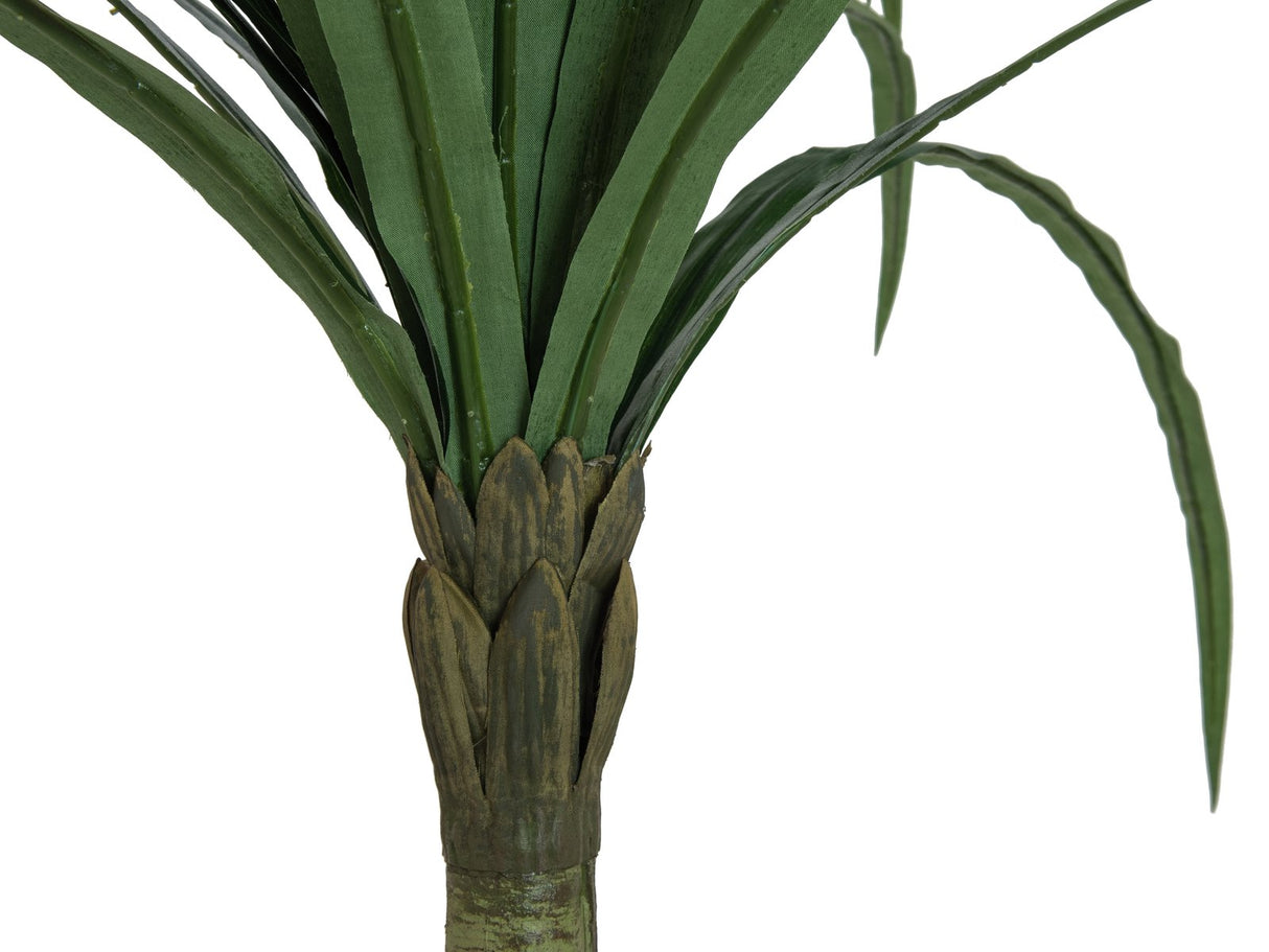 Europalms Dracena, grön, 220cm