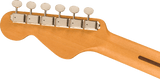 Fender Highway Series Western (Natural)