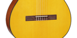 Takamine GC1-NAT klassisk spansk gitarr (naturlig)
