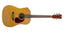 Grooveland Western Gitarr med pickup