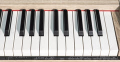 Grooveland DDP-140 Elpiano (Beige)