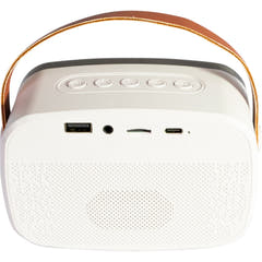Ibiza Smart Karaoke Bluetooth-högtalare med 2 trådlösa mikrofoner