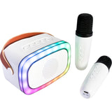 Ibiza Smart Karaoke Bluetooth-högtalare med 2 trådlösa mikrofoner