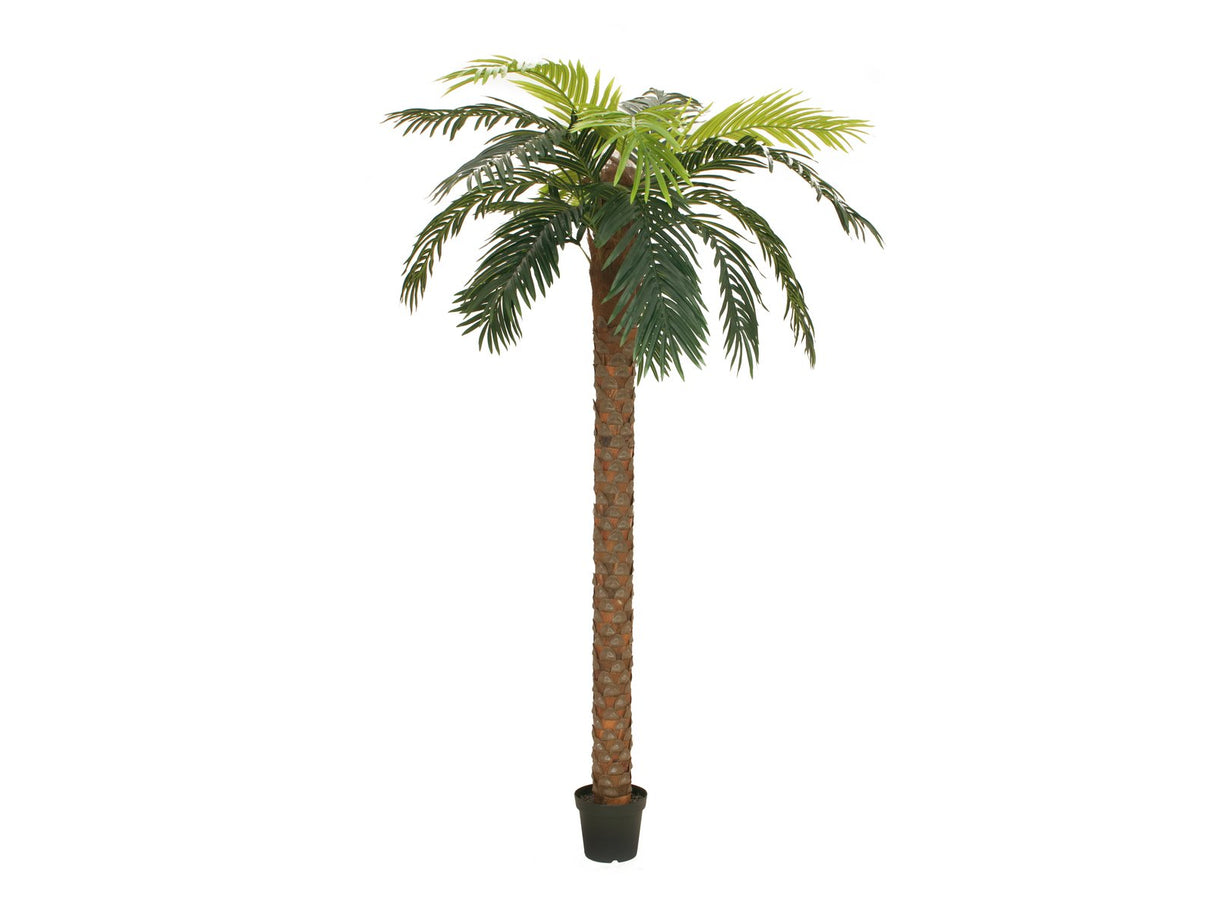 Artificiell Phoenix Palm Deluxe (250 cm)
