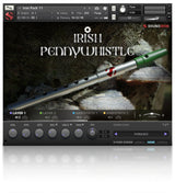 Iron Pack 11 - Irländsk Penny Whistle