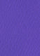 Violett löpare (2 x 50 m)