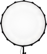 NanLite Satellite Softbox för Forza 60