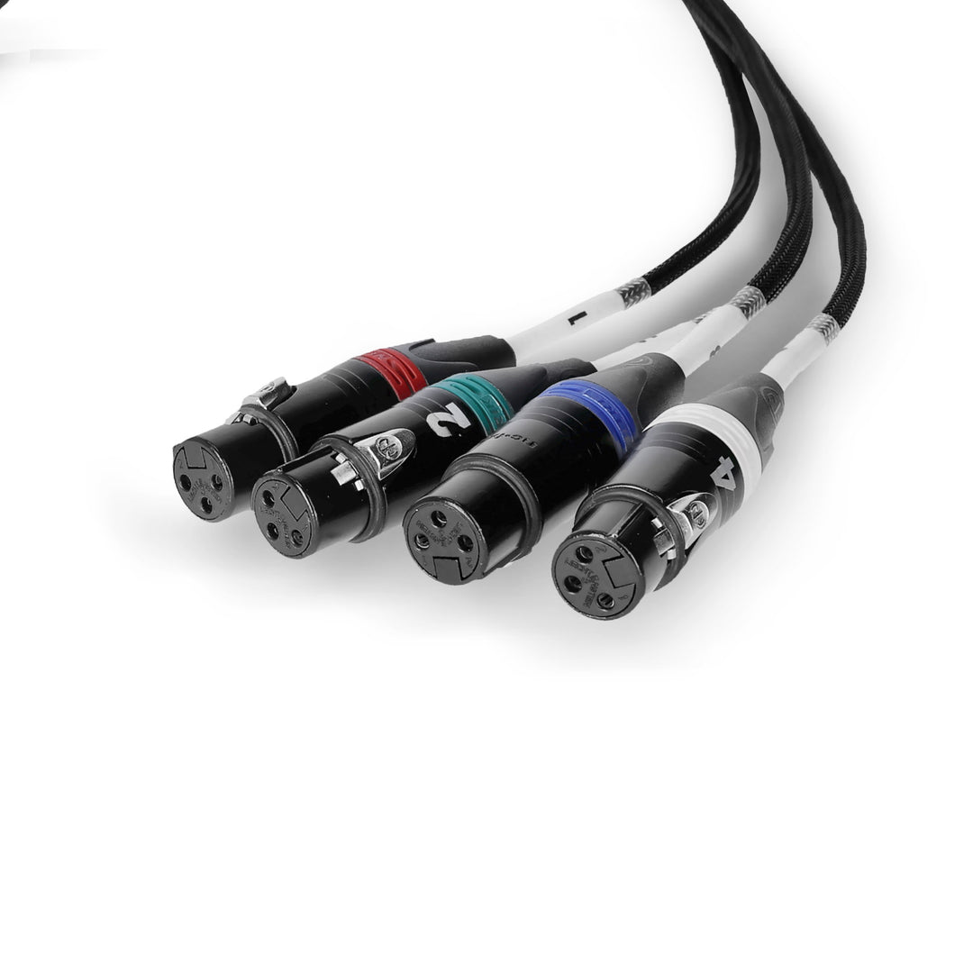 Palmer AoC Loom XLRf - Audio over Cat-kabel från etherCON till 4 x XLR hona