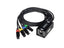 Perfex Cat Snake (Hona)