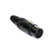 Perfex XLR honkontakt