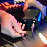 Palmer RIVER kyll - Passiv 2-kanals linjeisoleringsbox