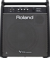 Roland PM-200 Stage Monitor