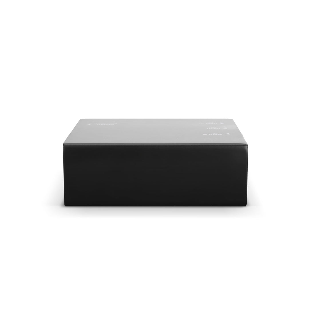Palmer RIVER-modell – aktiv DI-box
