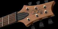 PRS SE "Paul's Guitar" elektrisk gitarr ( Turquoise )