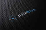 Pale Blue Approach 2 Solar Panel 21W Triple, w/bungee & storage case